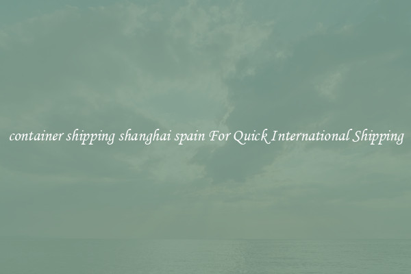 container shipping shanghai spain For Quick International Shipping