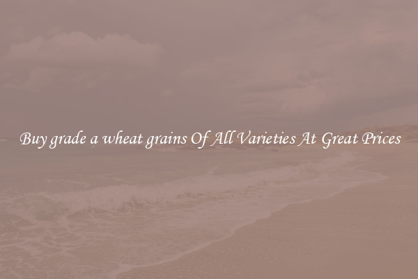 Buy grade a wheat grains Of All Varieties At Great Prices