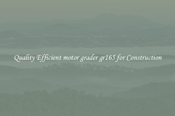 Quality Efficient motor grader gr165 for Construction