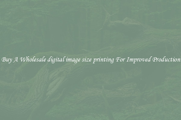 Buy A Wholesale digital image size printing For Improved Production