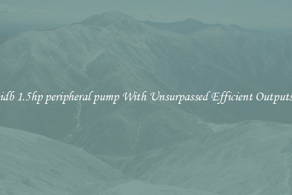 idb 1.5hp peripheral pump With Unsurpassed Efficient Outputs