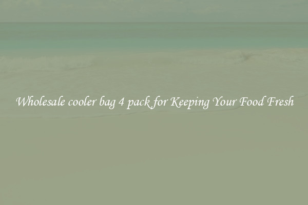 Wholesale cooler bag 4 pack for Keeping Your Food Fresh
