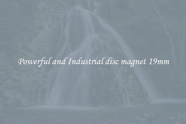 Powerful and Industrial disc magnet 19mm