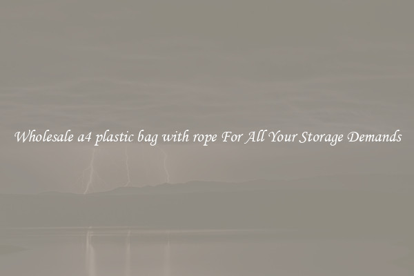 Wholesale a4 plastic bag with rope For All Your Storage Demands