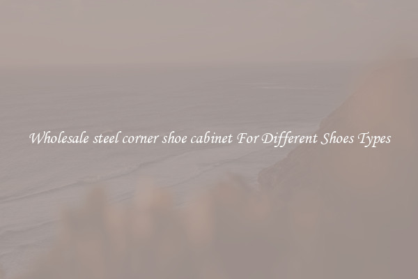 Wholesale steel corner shoe cabinet For Different Shoes Types