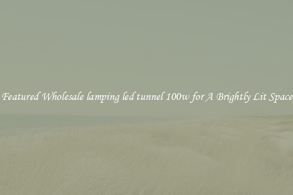 Featured Wholesale lamping led tunnel 100w for A Brightly Lit Space