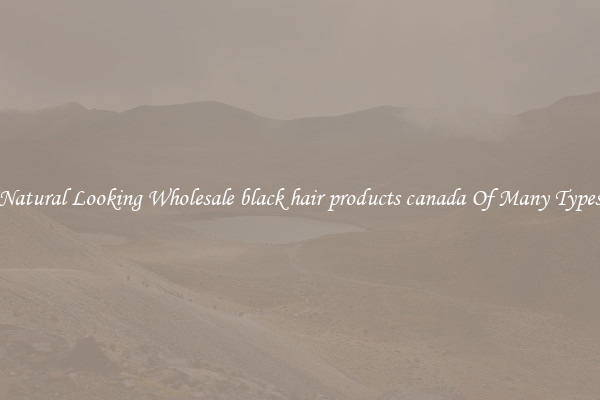 Natural Looking Wholesale black hair products canada Of Many Types