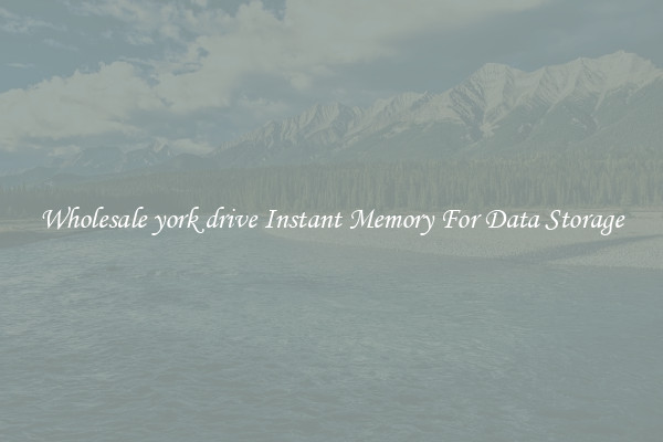 Wholesale york drive Instant Memory For Data Storage