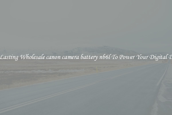 Long Lasting Wholesale canon camera battery nb6l To Power Your Digital Devices