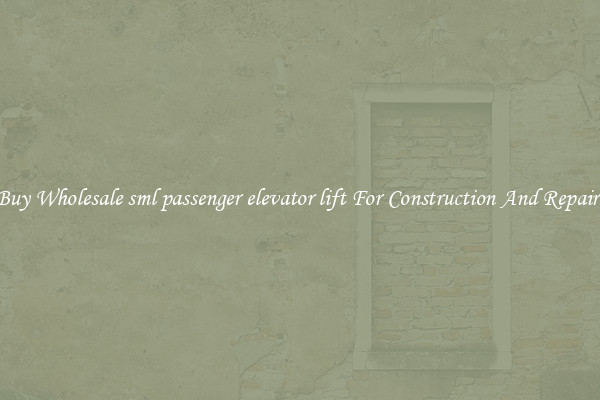 Buy Wholesale sml passenger elevator lift For Construction And Repairs