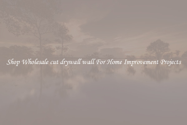 Shop Wholesale cut drywall wall For Home Improvement Projects