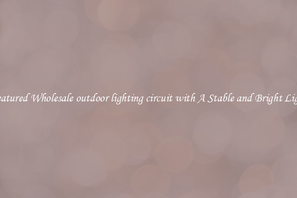 Featured Wholesale outdoor lighting circuit with A Stable and Bright Light