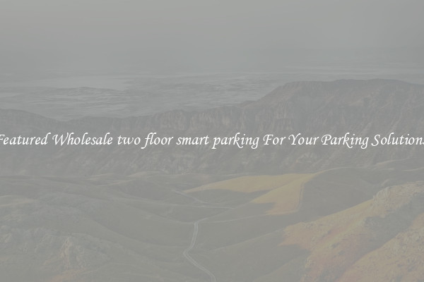 Featured Wholesale two floor smart parking For Your Parking Solutions 