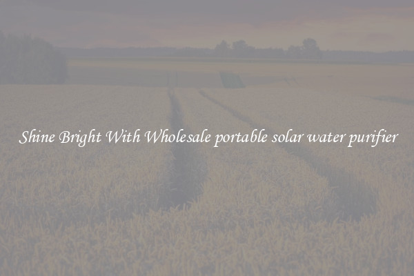 Shine Bright With Wholesale portable solar water purifier