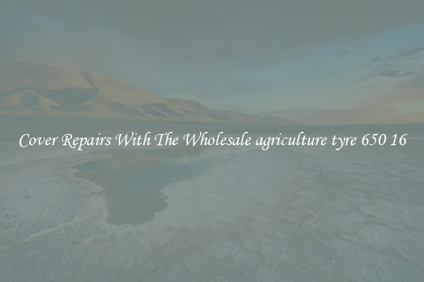  Cover Repairs With The Wholesale agriculture tyre 650 16 