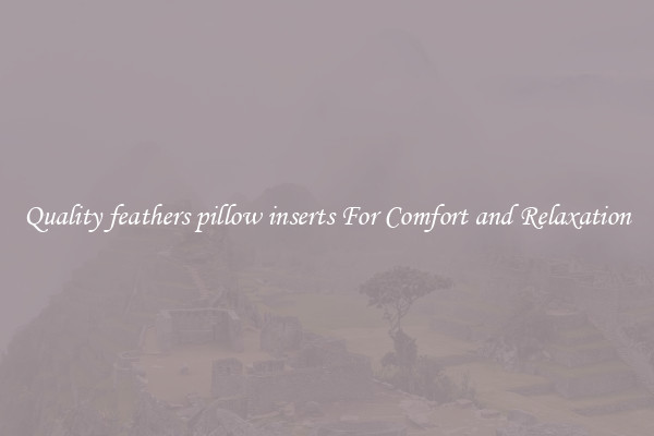Quality feathers pillow inserts For Comfort and Relaxation