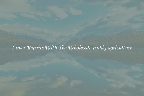  Cover Repairs With The Wholesale paddy agriculture 