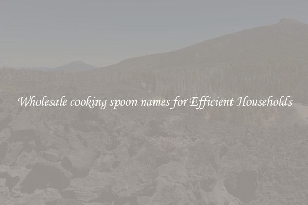 Wholesale cooking spoon names for Efficient Households