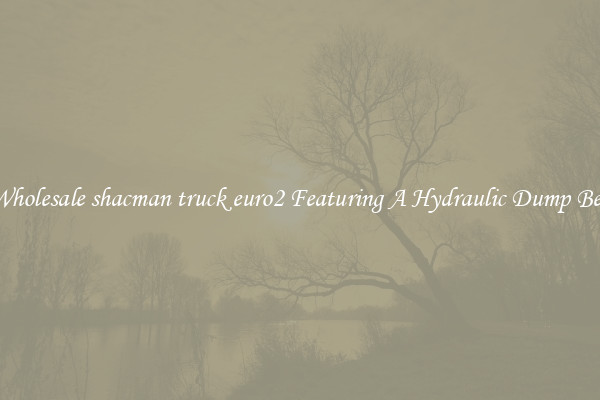 Wholesale shacman truck euro2 Featuring A Hydraulic Dump Bed