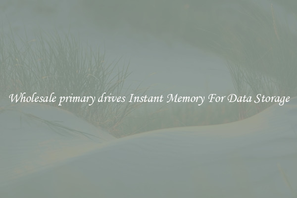 Wholesale primary drives Instant Memory For Data Storage