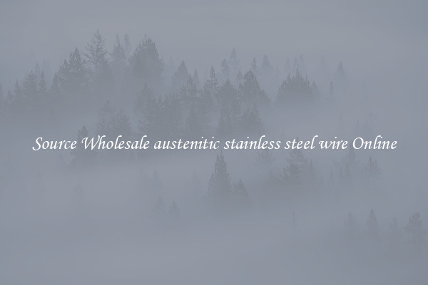 Source Wholesale austenitic stainless steel wire Online