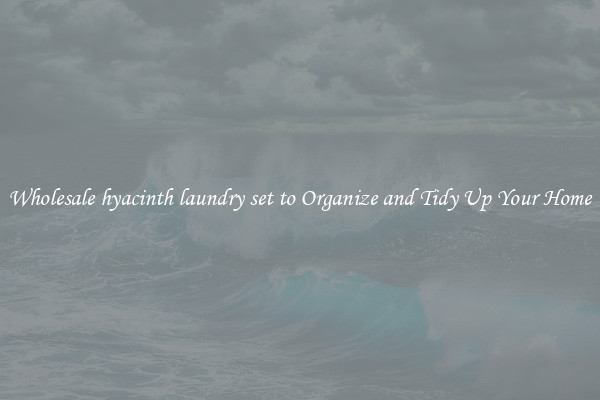 Wholesale hyacinth laundry set to Organize and Tidy Up Your Home