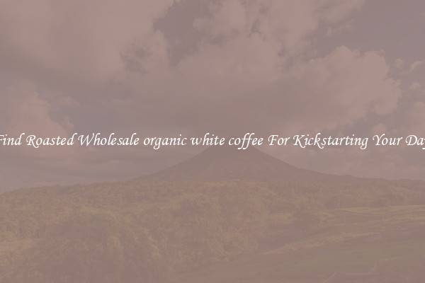 Find Roasted Wholesale organic white coffee For Kickstarting Your Day 